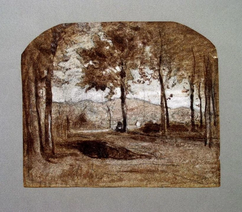 Folto di alberi presso la collina - Galleria Civica d’Arte Moderna e Contemporanea, Torino